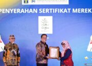 Hak cipta dalam bisnis: Melindungi karya, brand, dan aset perusahaan