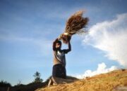 Mengenal Bobibos, bahan bakar dari jerami inovasi anak bangsa