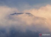 Renault konfirmasi nama “Filante” untuk SUV kelas atas baru