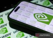 Nvidia luncurkan arsitektur chip Rubin yang lebih bertenaga